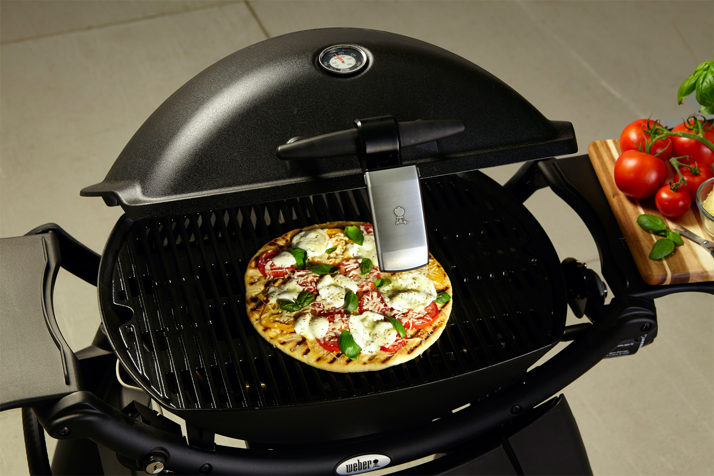 7663_LichtXw8mYO39LIkpj Weber Grifflicht für Q-Grill