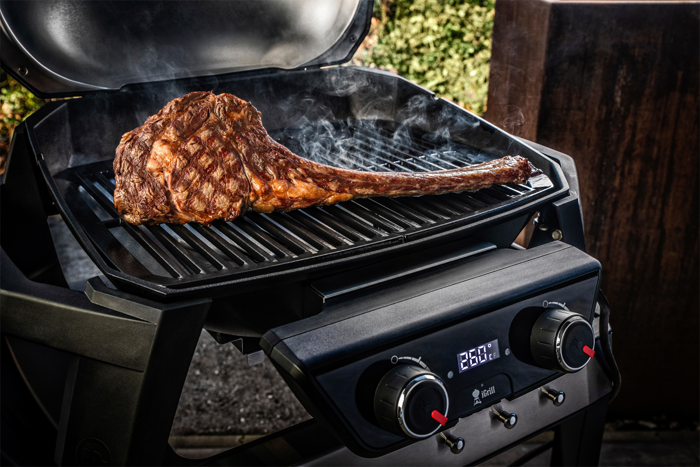 Weber Elektrogrill Pulse 2000