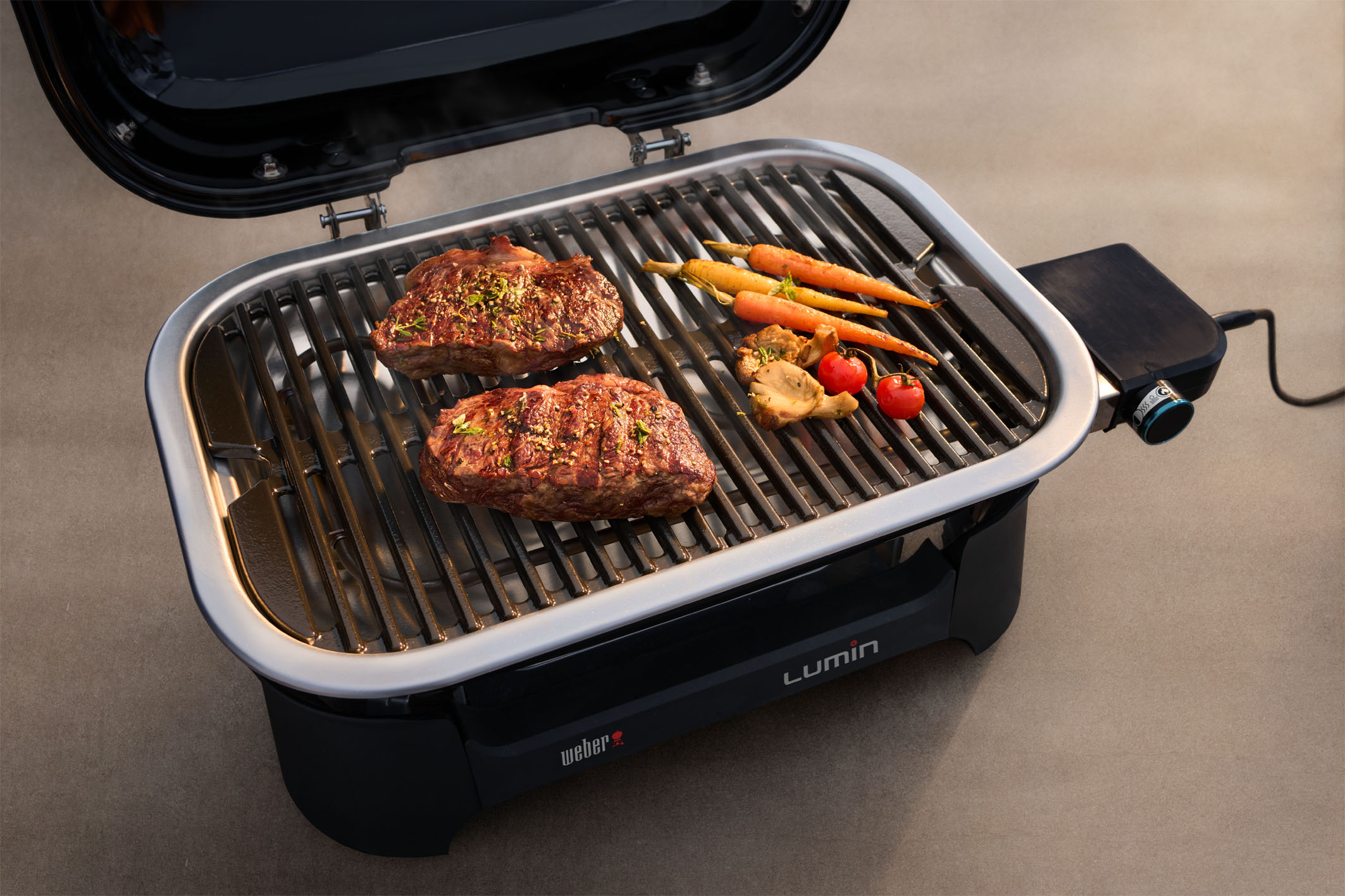 Weber Lumin Stand Elektrogrill Black