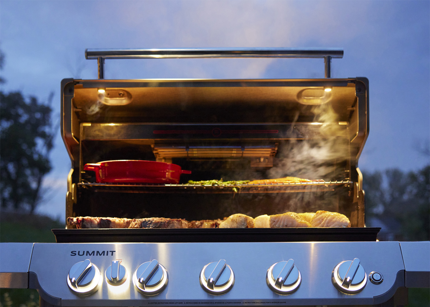 Weber Summit FS38 E Gasgrill