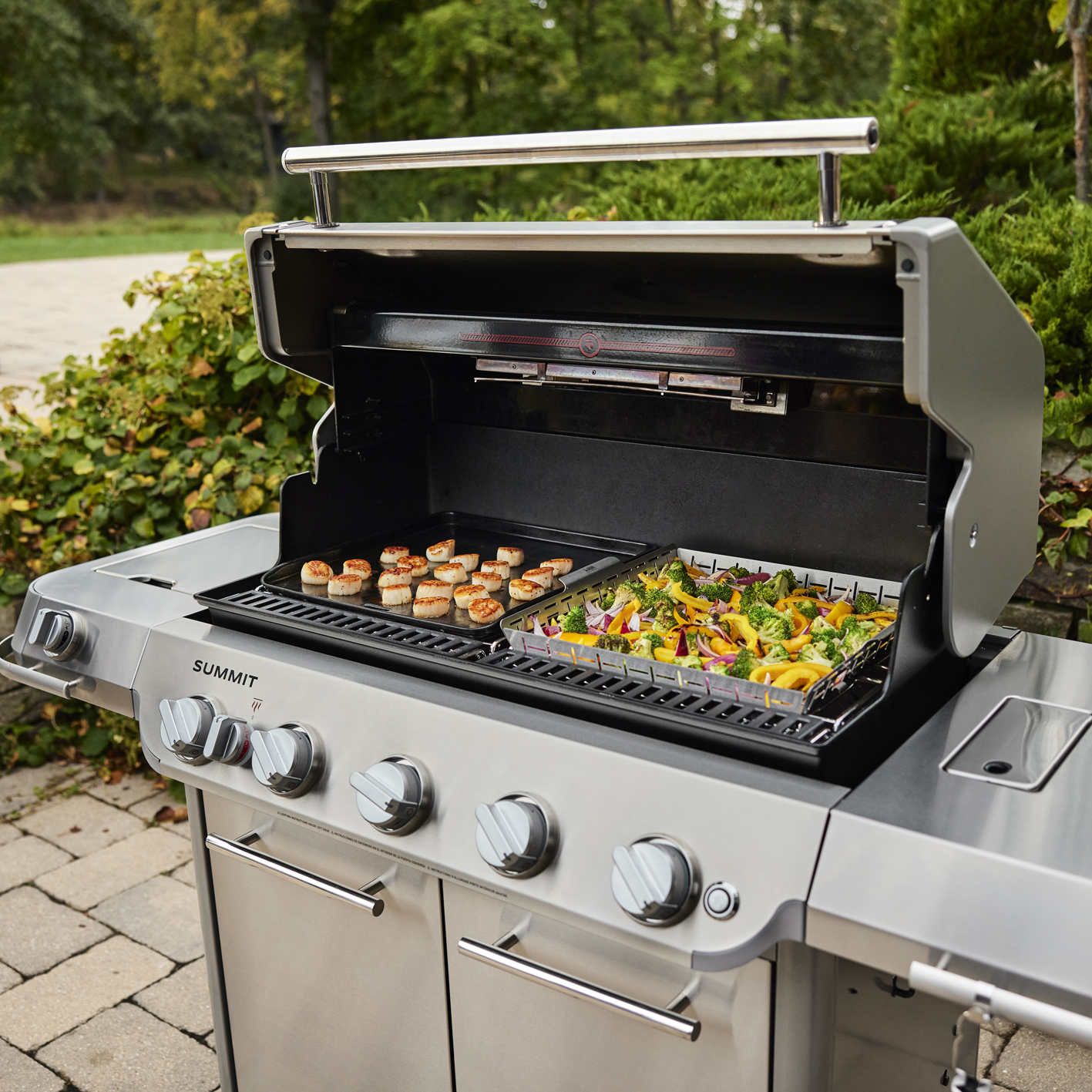 Weber Summit FS38 S Gasgrill