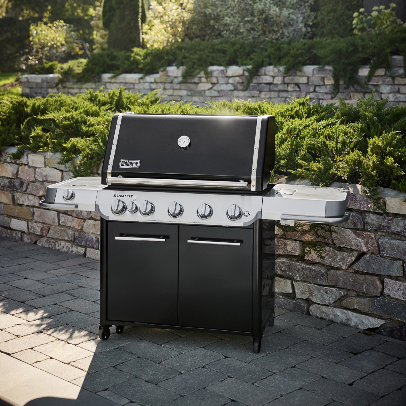 Weber Summit FS38 E Gasgrill